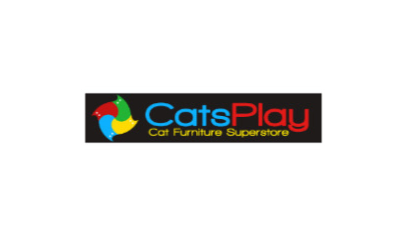Cats Play
